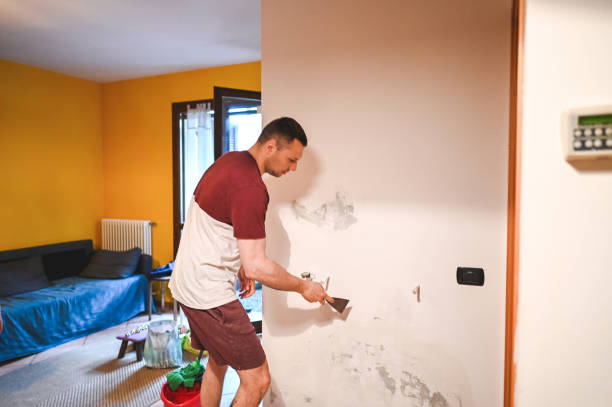 Best Toxic Mold Removal  in Cabana Colony, FL